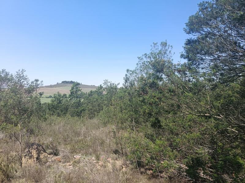 0 Bedroom Property for Sale in Albertinia Western Cape